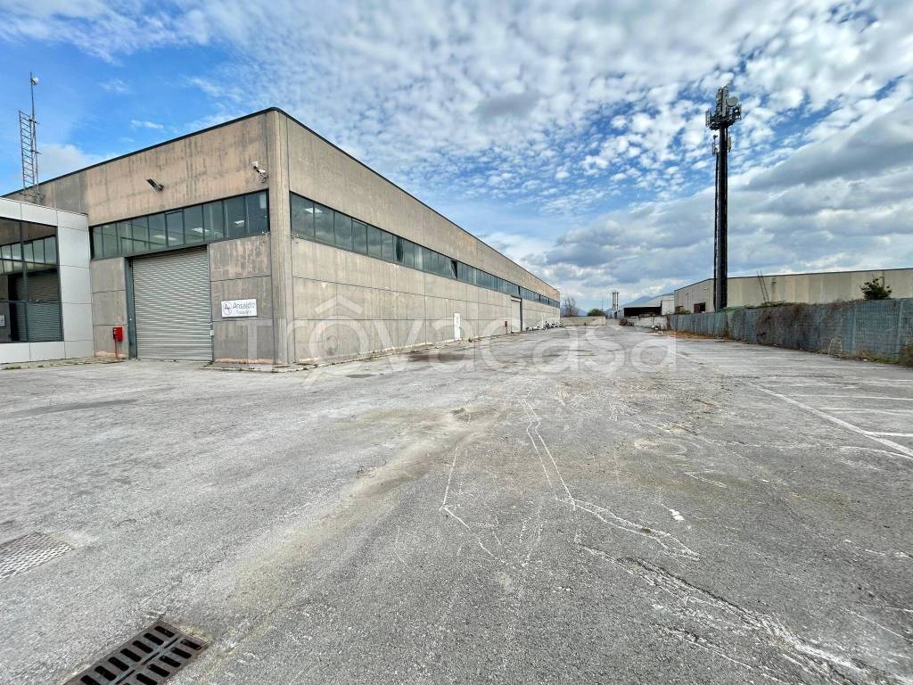 immagine annuncio 1 di 11