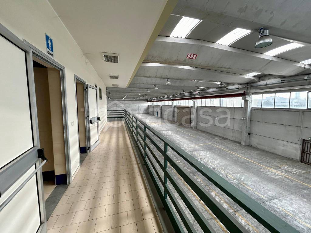 immagine annuncio 4 di 11