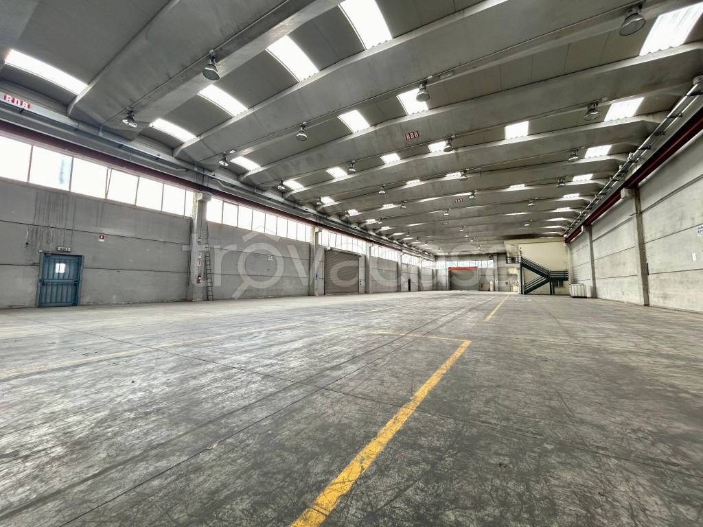 immagine annuncio 5 di 11