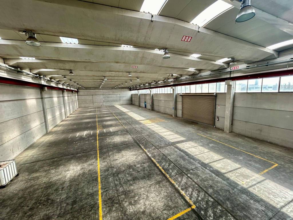 immagine annuncio 6 di 11