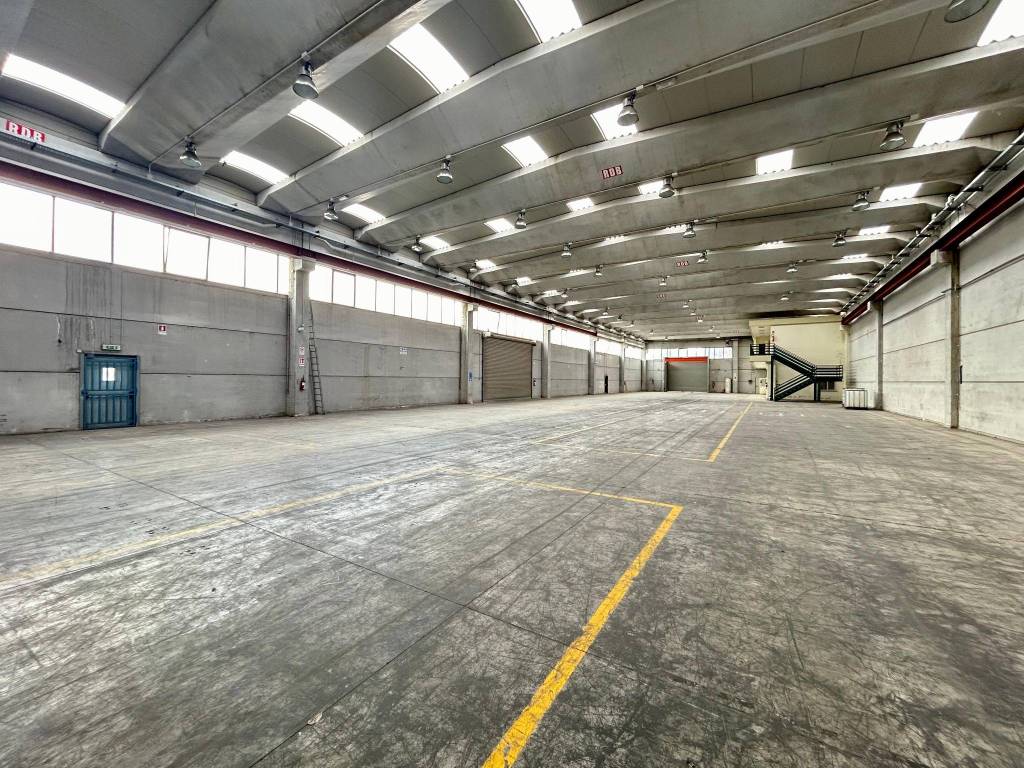 immagine annuncio 8 di 11