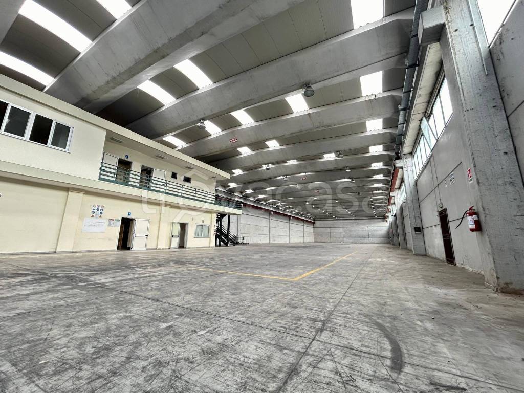 immagine annuncio 9 di 11