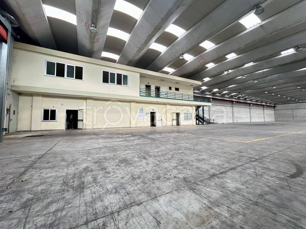 immagine annuncio 10 di 11