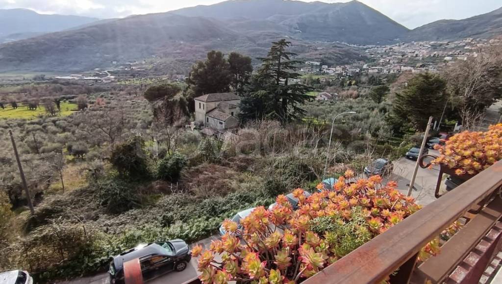 immagine annuncio 7 di 13