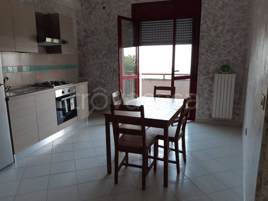 Appartamento in in affitto da privato a San Martino in Pensilis via Raffaele Mezzalingua, 39
