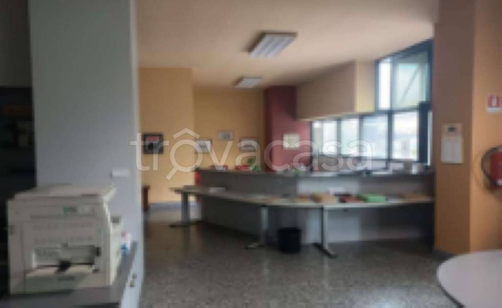 immagine annuncio 2 di 6