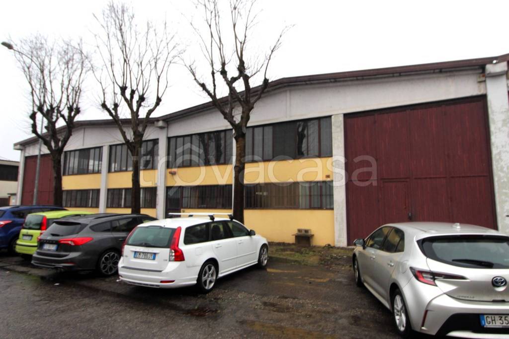 immagine annuncio 1 di 15