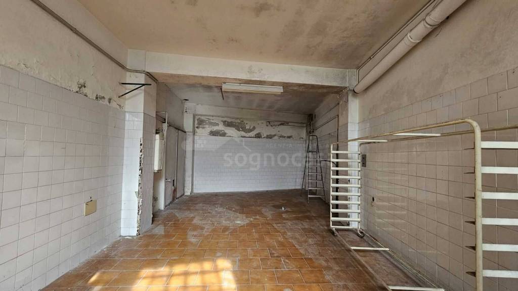 immagine annuncio 12 di 14