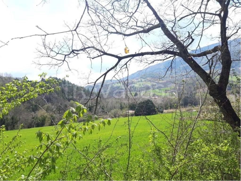 Terreno Agricolo in vendita ad Assisi statale 444, 0