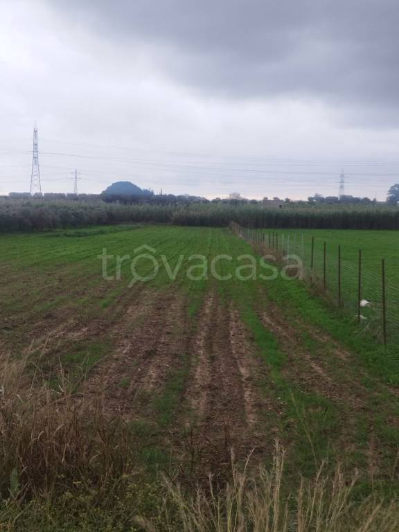 Terreno Agricolo in vendita a Brindisi contrada Piccoli