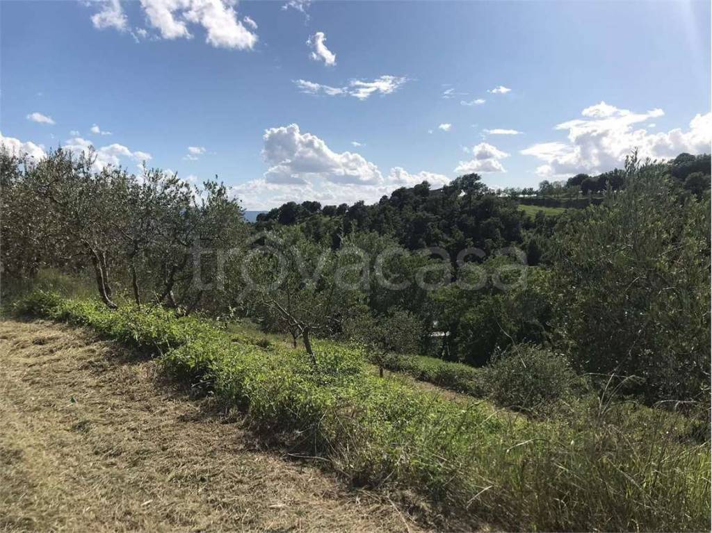immagine annuncio 2 di 11