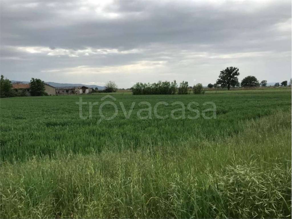 Terreno Agricolo in vendita ad Assisi castelnuovo, 0