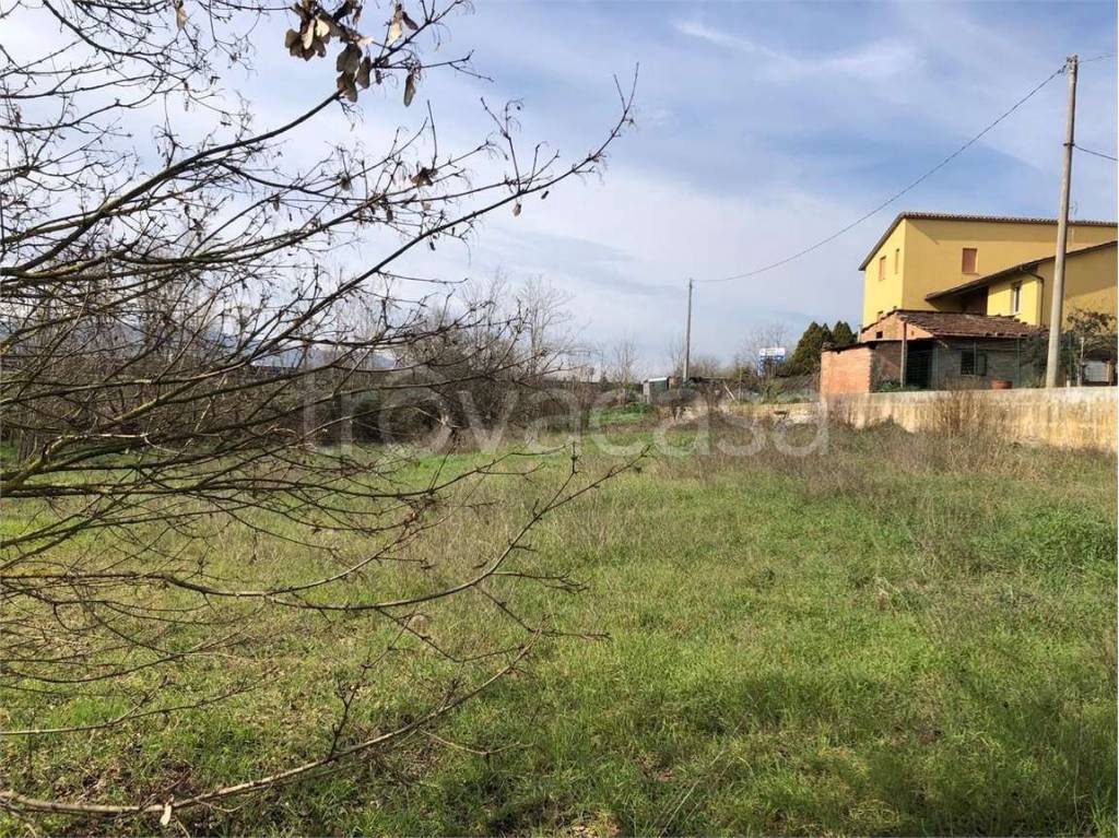 immagine annuncio 6 di 12