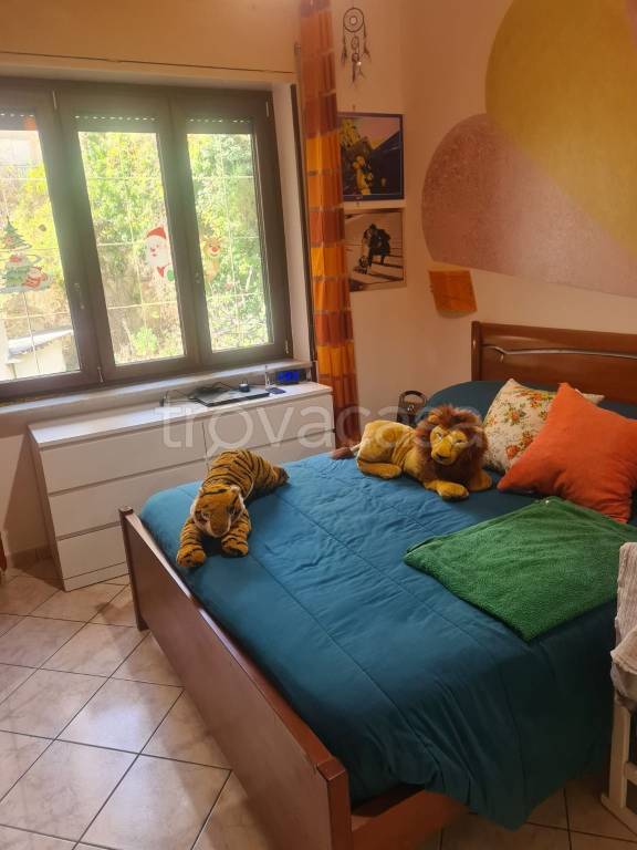 immagine annuncio 8 di 13