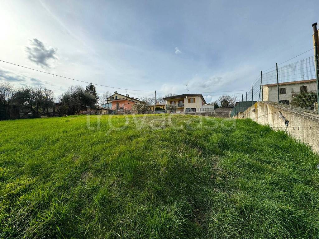 immagine annuncio 2 di 6
