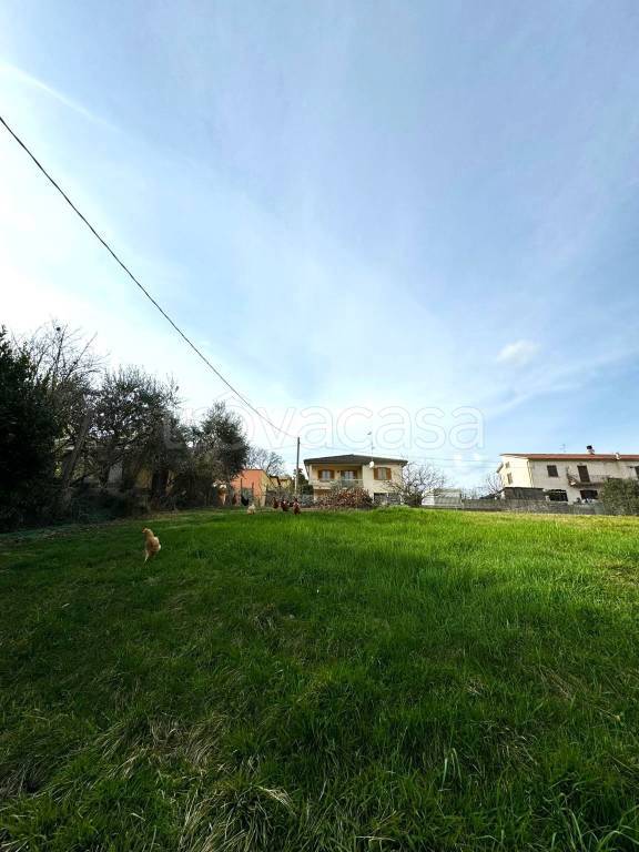 immagine annuncio 5 di 6