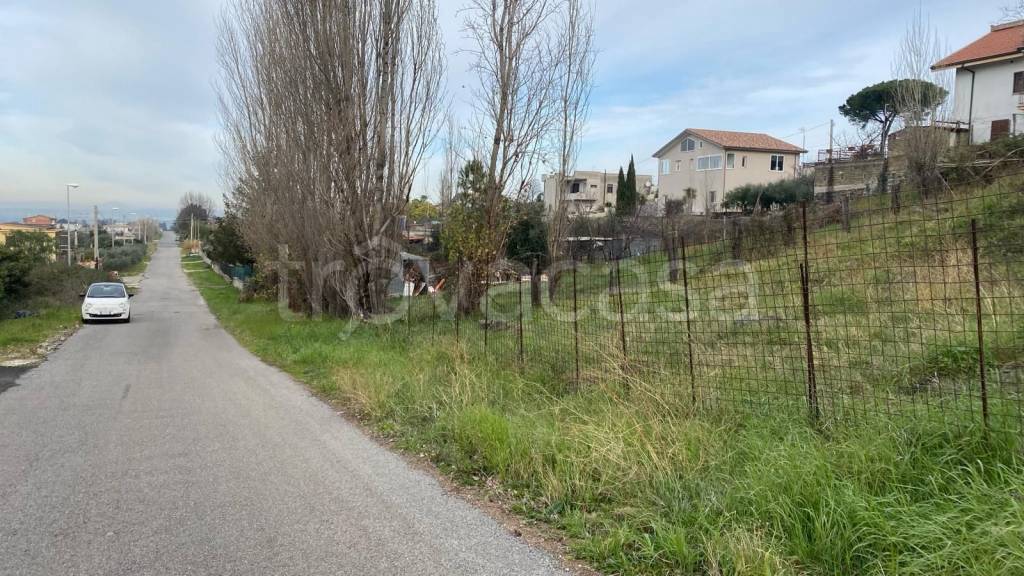 immagine annuncio 5 di 6