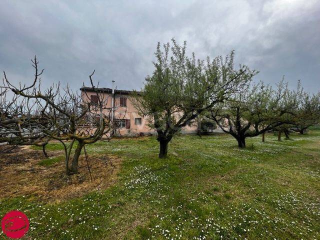 immagine annuncio 3 di 6