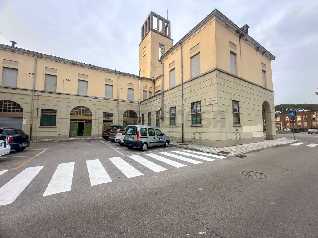 immagine annuncio 3 di 14