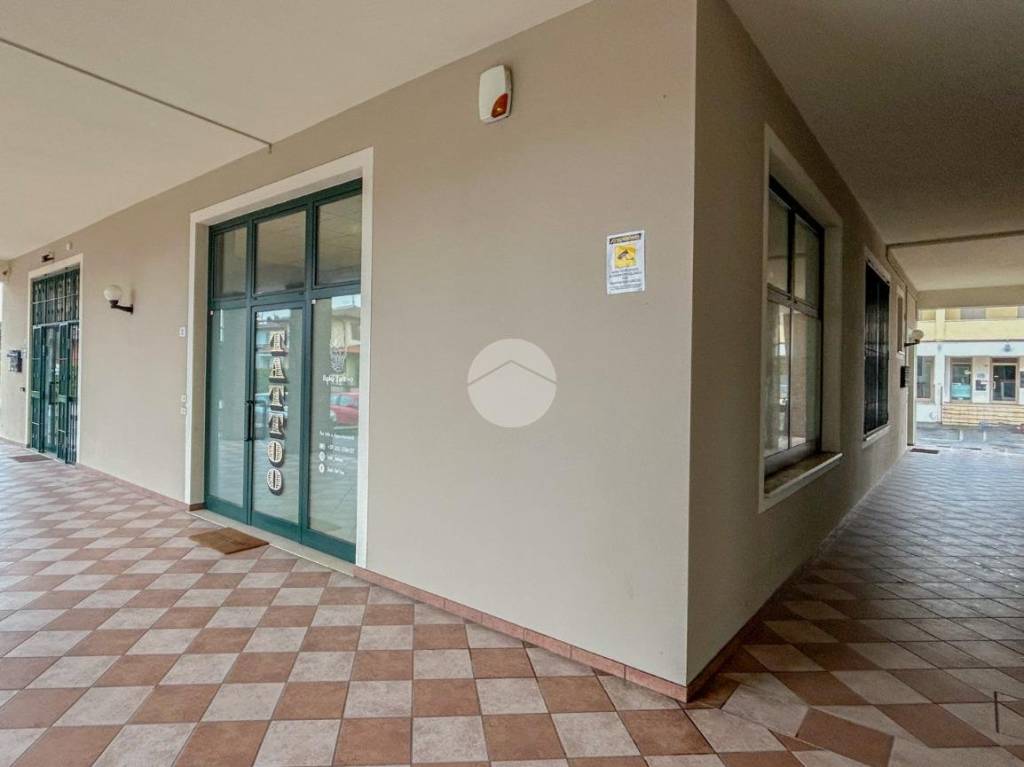 immagine annuncio 12 di 14