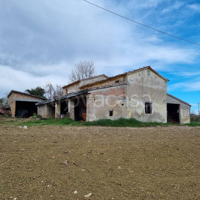immagine annuncio 3 di 8