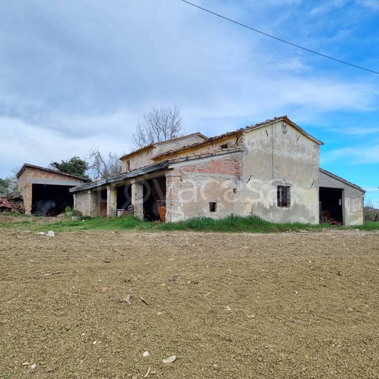 immagine annuncio 2 di 8