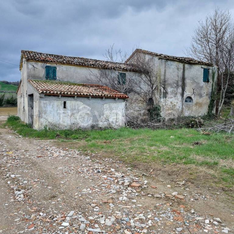 immagine annuncio 7 di 8