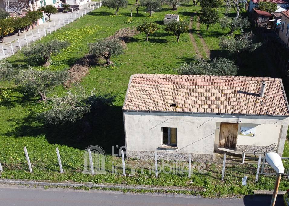 immagine annuncio 2 di 12