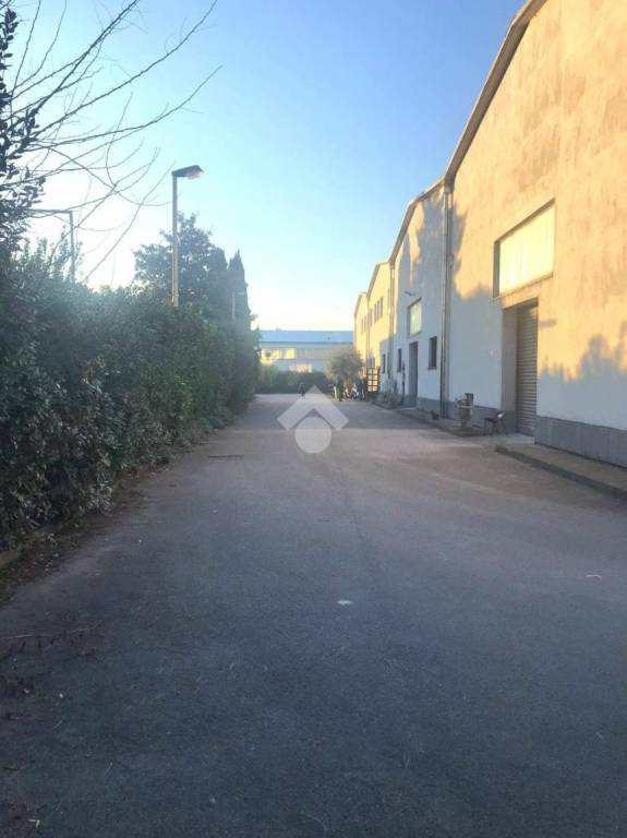 immagine annuncio 3 di 11