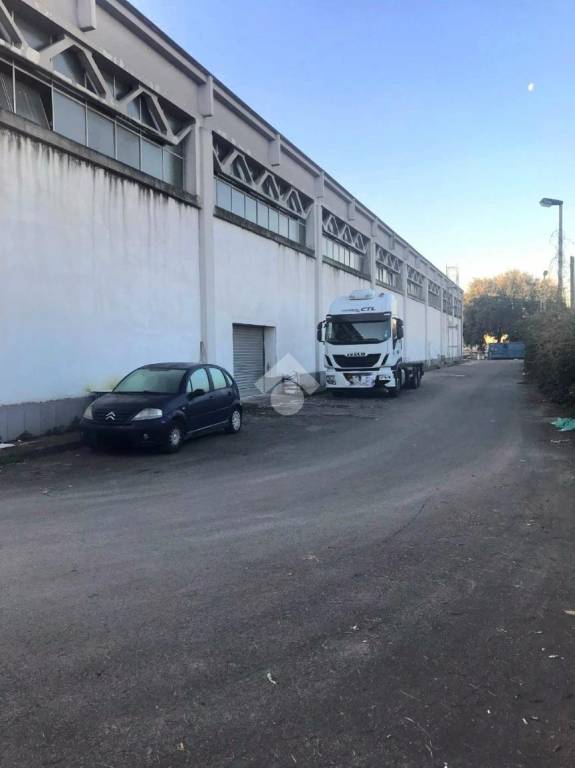 immagine annuncio 6 di 11