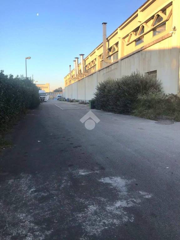 immagine annuncio 7 di 11