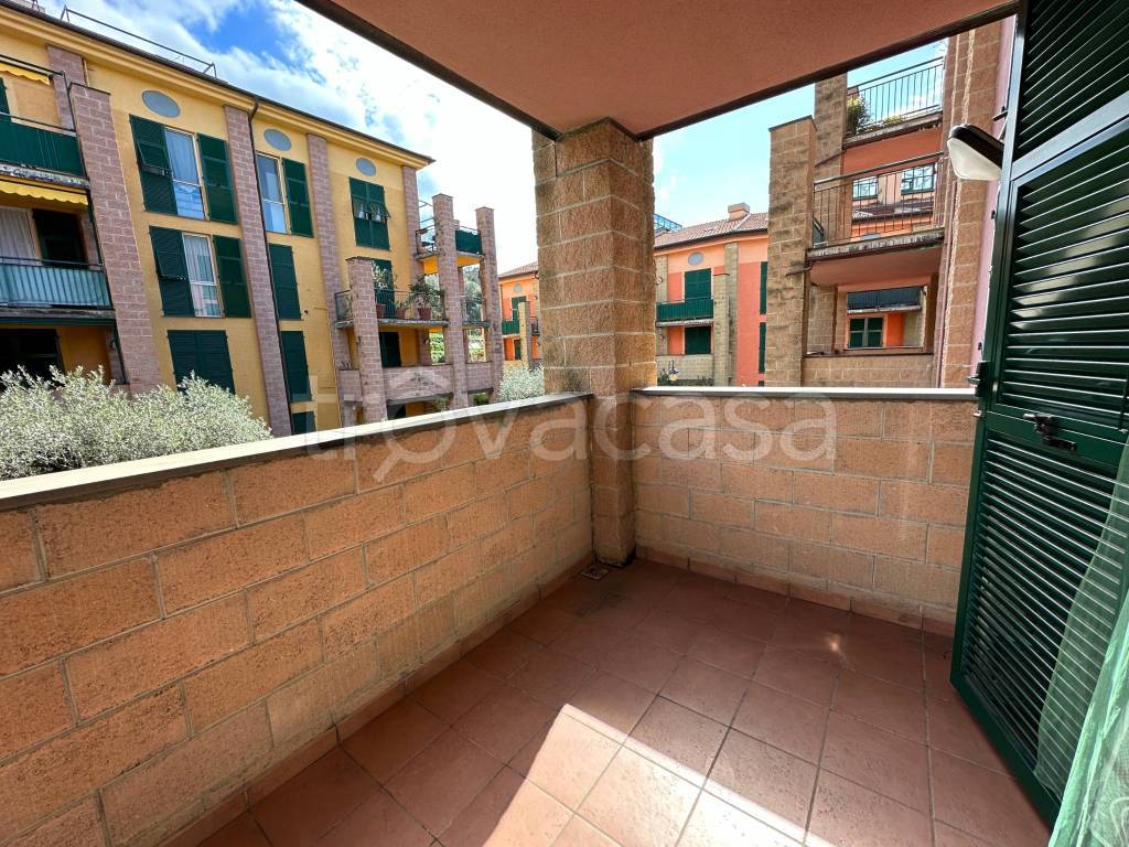 immagine annuncio 3 di 9