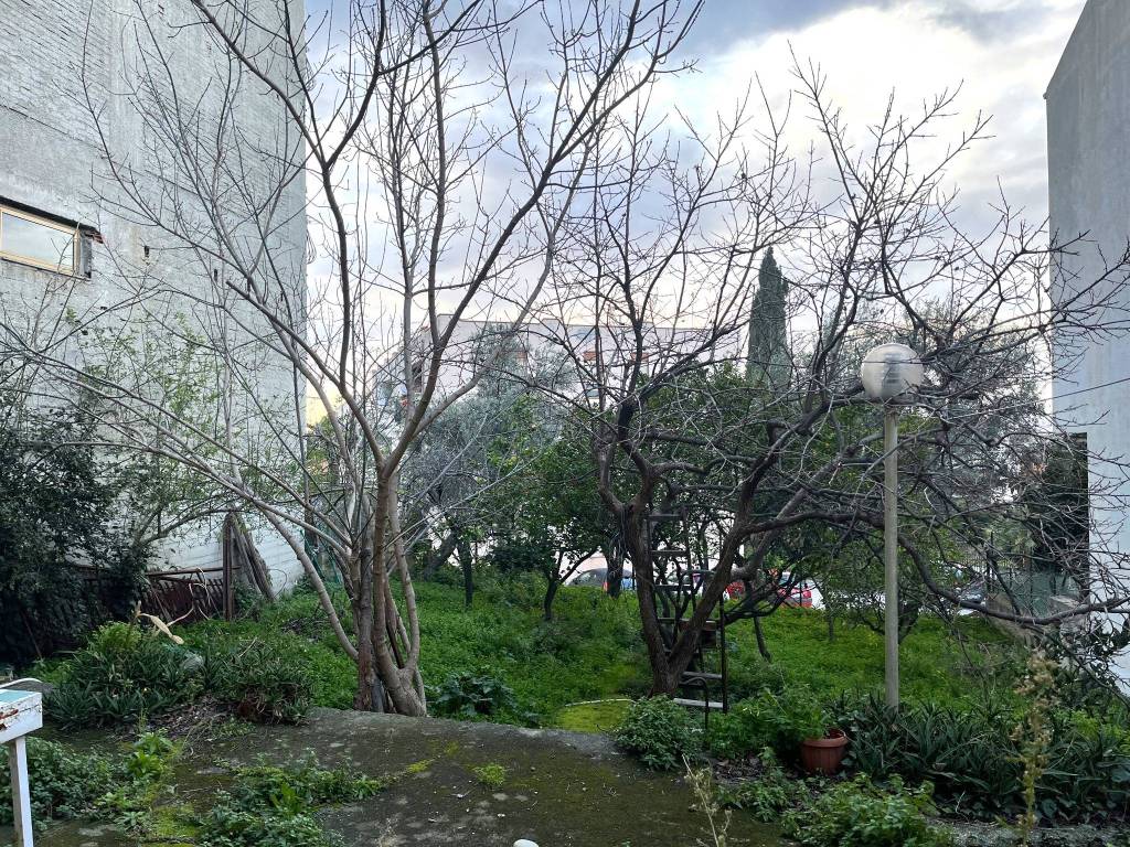 immagine annuncio 5 di 13