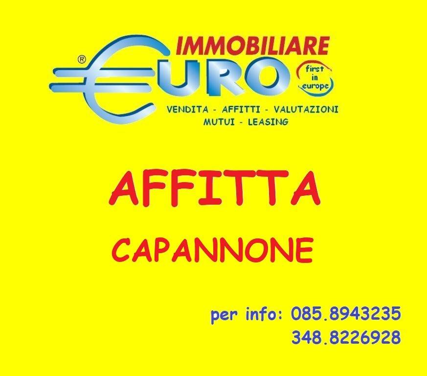 Capannone Industriale in affitto a Pineto
