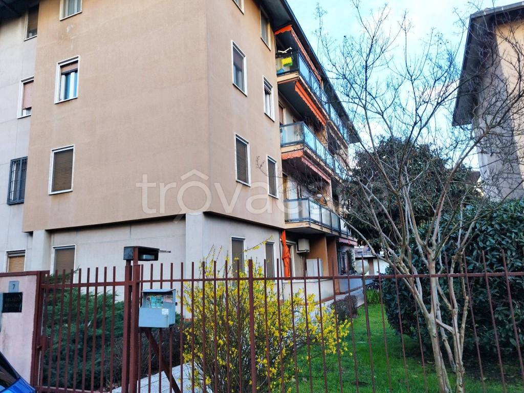 Appartamento in in vendita da privato a Pavia via Angelo Amati, 7
