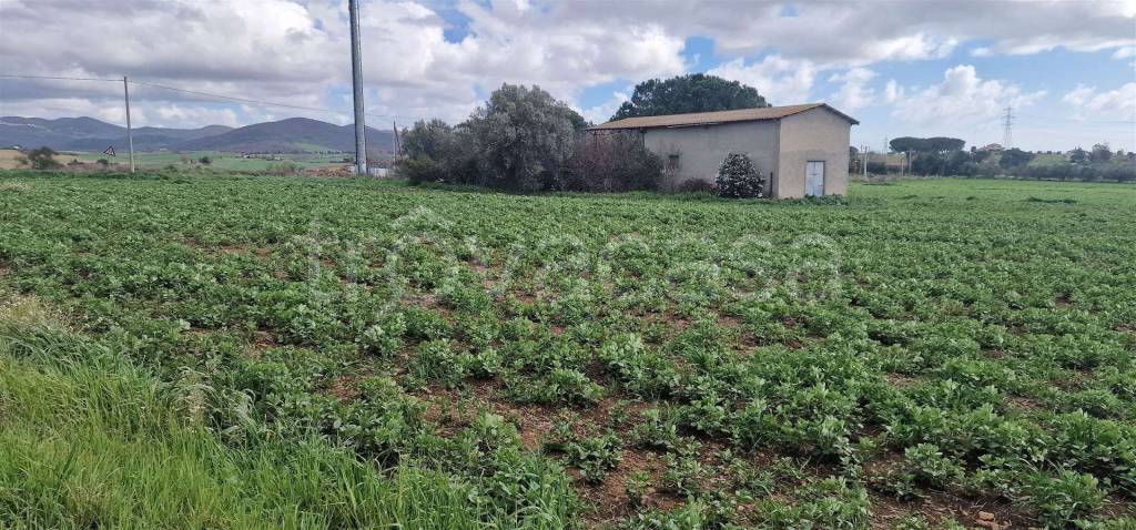 Azienda Agricola in vendita a Tarquinia località pian boaro, snc