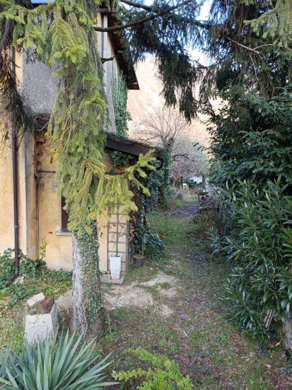 immagine annuncio 2 di 8