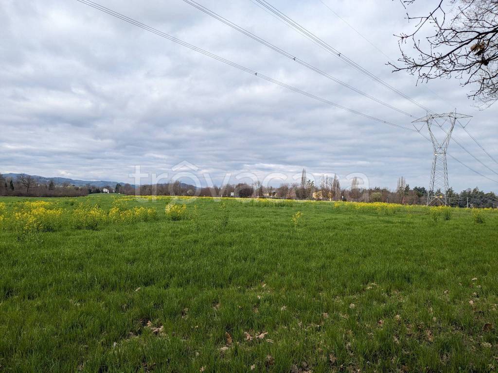 Terreno Agricolo in vendita a Reggio nell'Emilia via Sant'Ambrogio