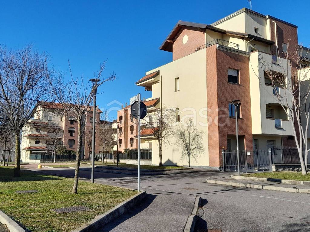 Appartamento in in vendita da privato a Gorla Minore via Gianni Rodari