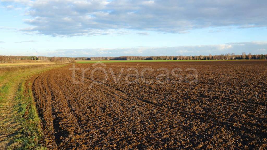 Terreno Agricolo in vendita a Villa Bartolomea corso Arnaldo Fraccaroli, 139