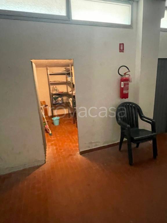 immagine annuncio 11 di 14