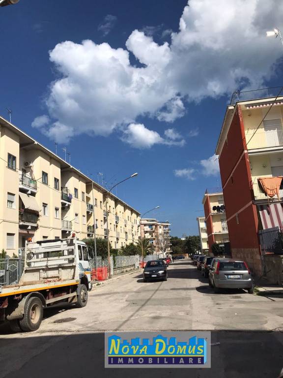 immagine annuncio 12 di 14