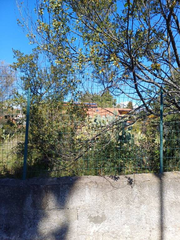 immagine annuncio 3 di 6