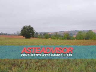 Terreno residenziale all'asta ad alessandria frazione valmadonna, strada vicinale del castellino e via costanza