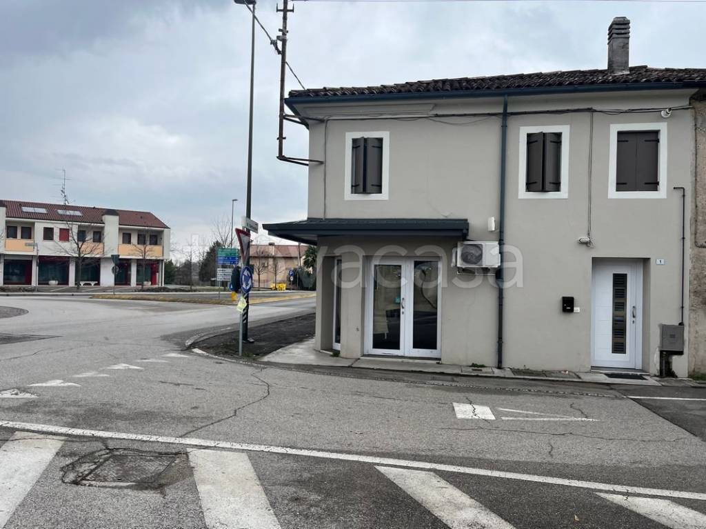 immagine annuncio 2 di 14