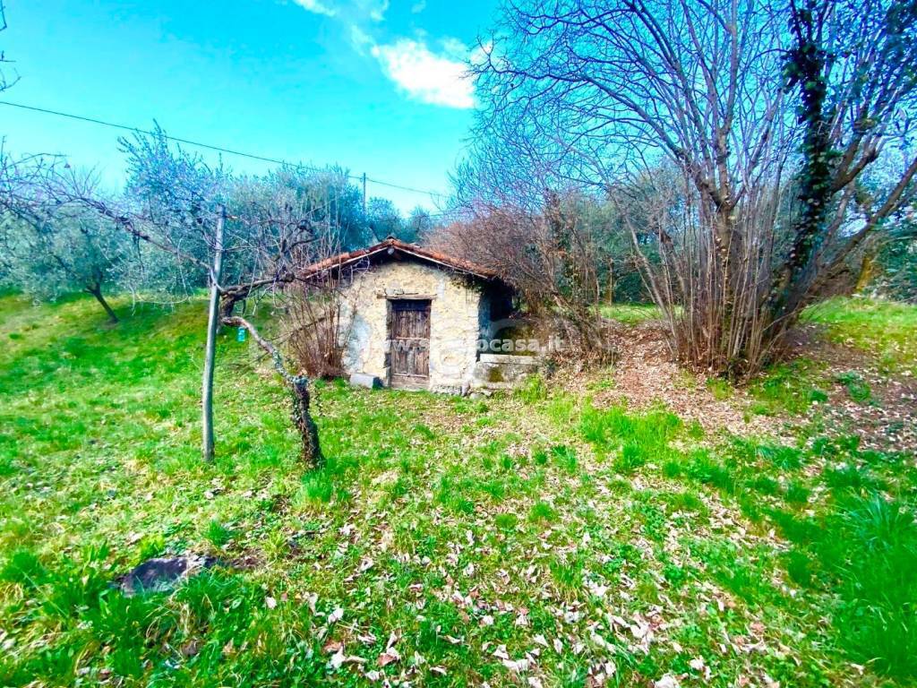 immagine annuncio 8 di 10