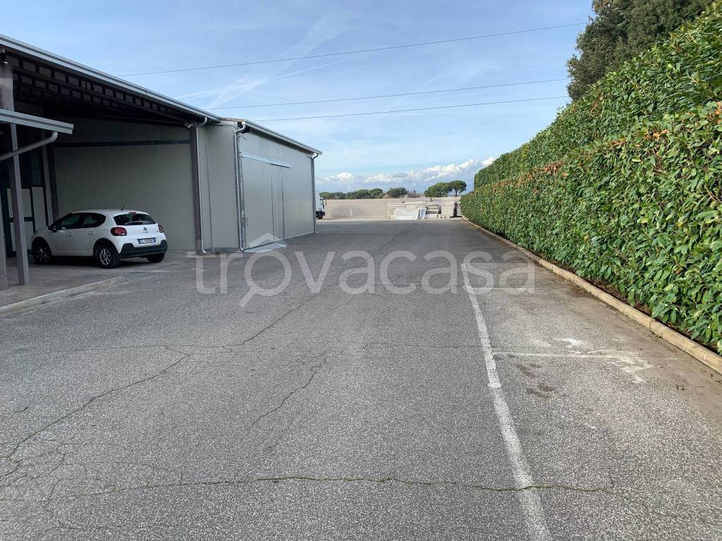immagine annuncio 7 di 11