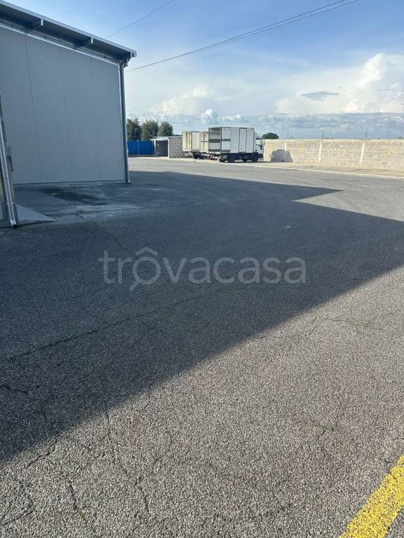 immagine annuncio 6 di 11