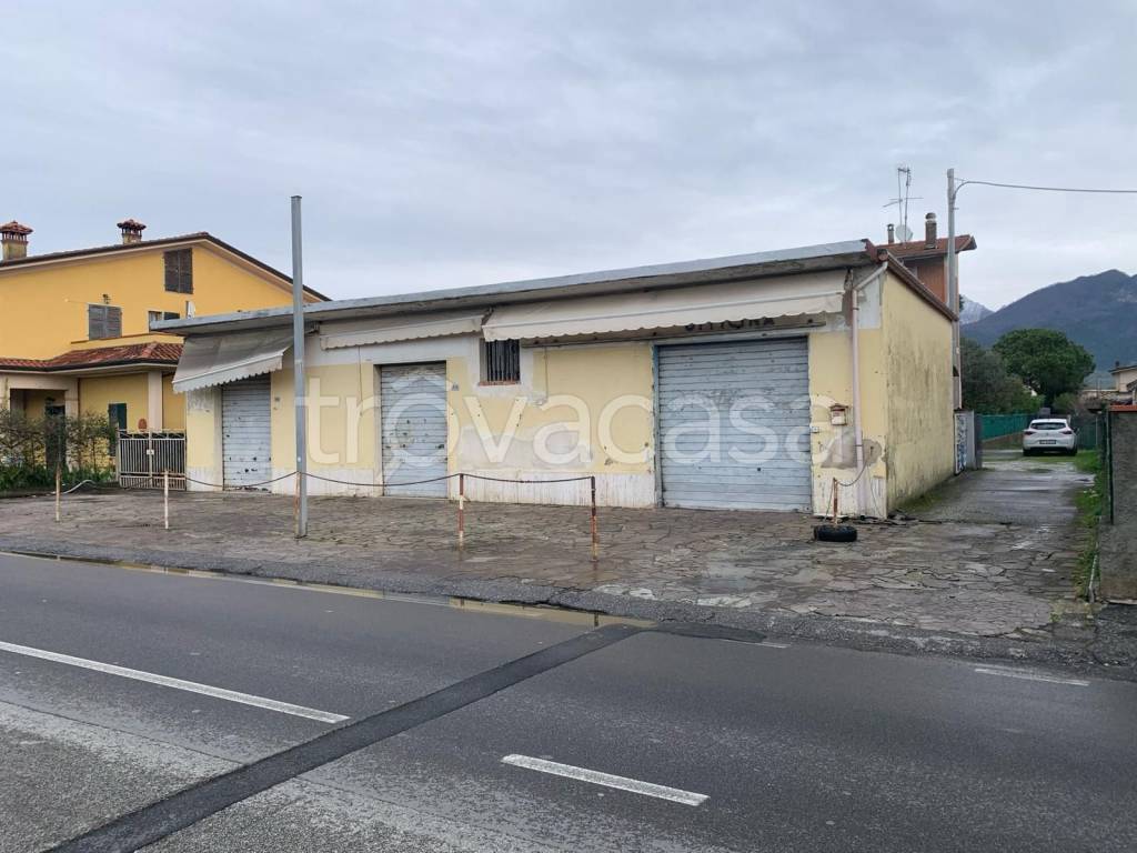 immagine annuncio 1 di 4