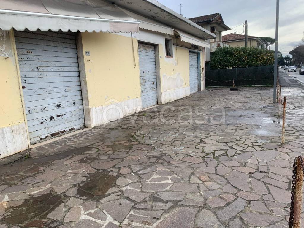 immagine annuncio 2 di 4
